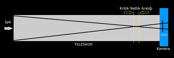 netlik.jpg netlik.jpg